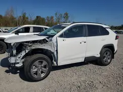 2T3RWRFV6RW191817 2024 TOYOTA RAV 4