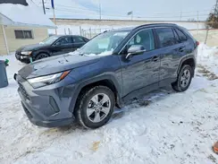 2T3RWRFV6RW194605 2024 TOYOTA RAV 4