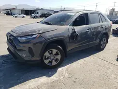 2T3RWRFV6RW199190 2024 TOYOTA RAV 4