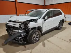 2T3RWRFV6RW199982 2024 TOYOTA RAV 4