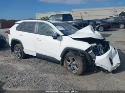 2T3RWRFV6RW201374 2024 TOYOTA RAV 4