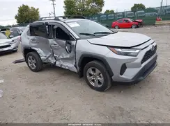 2T3RWRFV6RW202010 2024 TOYOTA RAV 4