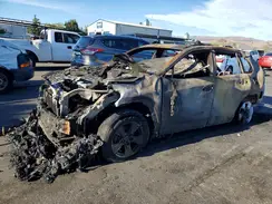 2T3RWRFV6RW203979 2024 TOYOTA RAV 4