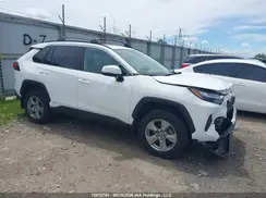 2T3RWRFV6RW206042 2024 TOYOTA RAV 4