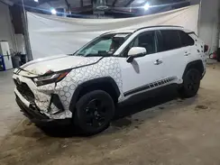 2T3RWRFV6RW206705 2024 TOYOTA RAV 4