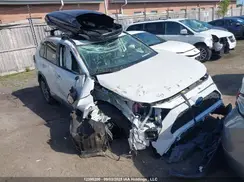 2T3RWRFV6RW223049 2024 TOYOTA RAV 4