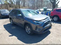 2T3RWRFV6RW230504 2024 TOYOTA RAV 4