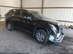2T3RWRFV6RW235105 2024 TOYOTA RAV 4