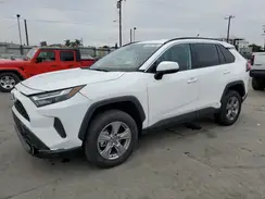 2T3RWRFV6RW239056 2024 TOYOTA RAV 4