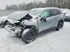 2T3RWRFV6RW248016 2024 TOYOTA RAV 4