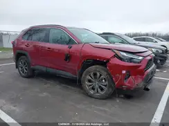2T3RWRFV6RW248596 2024 TOYOTA RAV 4