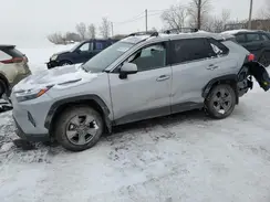 2T3RWRFV6RW251014 2024 TOYOTA RAV 4