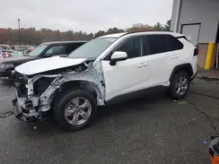 2T3RWRFV6SW266733 2025 TOYOTA RAV 4