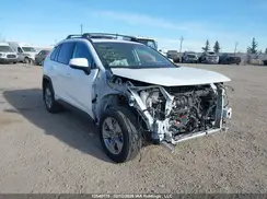 2T3RWRFV6SW275870 2025 TOYOTA RAV 4