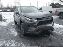 2T3RWRFV6SW282768 2025 TOYOTA RAV 4