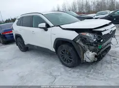 2T3RWRFV7LW049645 2020 TOYOTA RAV 4