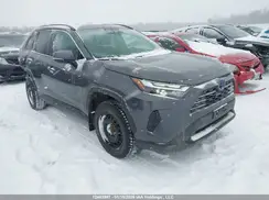 2T3RWRFV7PW161724 2023 TOYOTA RAV 4