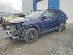 2T3RWRFV7PW178491 2023 TOYOTA RAV 4