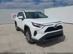 2T3RWRFV7RW186464 2024 TOYOTA RAV 4