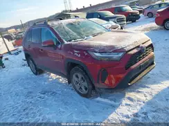 2T3RWRFV7RW194225 2024 TOYOTA RAV 4