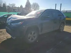 2T3RWRFV7RW196959 2024 TOYOTA RAV 4