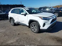 2T3RWRFV7RW202064 2024 TOYOTA RAV 4