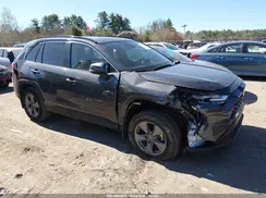 2T3RWRFV7RW208558 2024 TOYOTA RAV 4