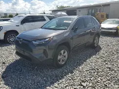 2T3RWRFV7RW218653 2024 TOYOTA RAV 4