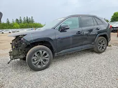 2T3RWRFV7RW236408 2024 TOYOTA RAV 4
