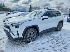 2T3RWRFV7SW285274 2025 TOYOTA RAV 4