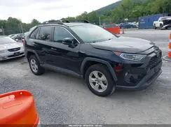2T3RWRFV8KW014644 2019 TOYOTA RAV 4
