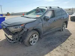 2T3RWRFV8KW029645 2019 TOYOTA RAV 4
