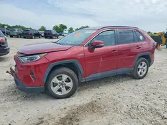 2T3RWRFV8LW056961 2020 TOYOTA RAV 4