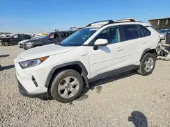 2T3RWRFV8LW062663 2020 TOYOTA RAV 4