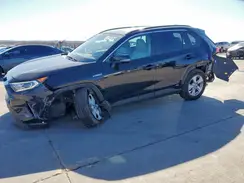 2T3RWRFV8LW082203 2020 TOYOTA RAV 4