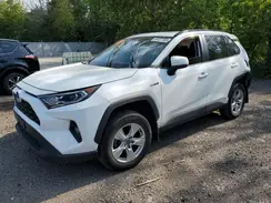 2T3RWRFV8LW099549 2020 TOYOTA RAV 4