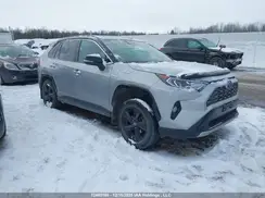 2T3RWRFV8MW106131 2021 TOYOTA RAV 4