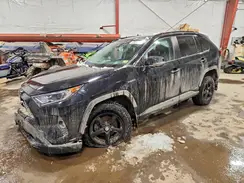 2T3RWRFV8MW116206 2021 TOYOTA RAV 4