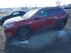 2T3RWRFV8MW121485 2021 TOYOTA RAV 4