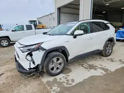 2T3RWRFV8NW135419 2022 TOYOTA RAV 4