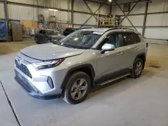 2T3RWRFV8PW154491 2023 TOYOTA RAV 4