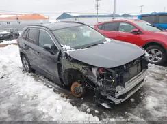 2T3RWRFV8PW154765 2023 TOYOTA RAV 4