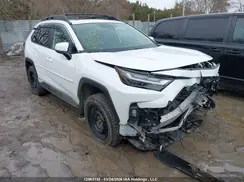 2T3RWRFV8PW164776 2023 TOYOTA RAV 4
