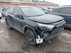 2T3RWRFV8PW181724 2023 TOYOTA RAV 4