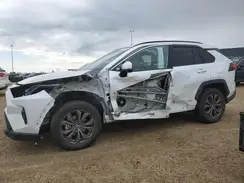 2T3RWRFV8PW185577 2023 TOYOTA RAV 4