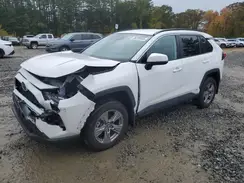 2T3RWRFV8RW189261 2024 TOYOTA RAV 4