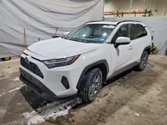 2T3RWRFV8RW196520 2024 TOYOTA RAV 4