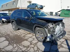 2T3RWRFV8RW213493 2024 TOYOTA RAV 4