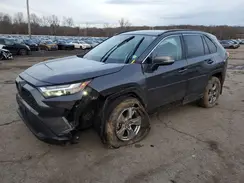 2T3RWRFV8RW217964 2024 TOYOTA RAV 4