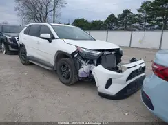 2T3RWRFV8RW220461 2024 TOYOTA RAV 4